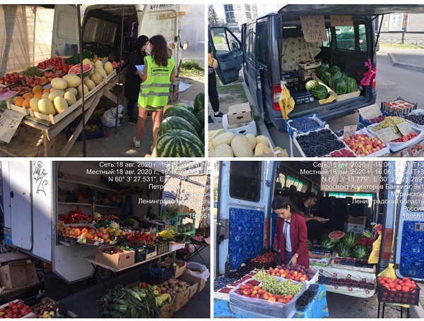 В Мурино продолжается борьба с незаконной уличной торговлей