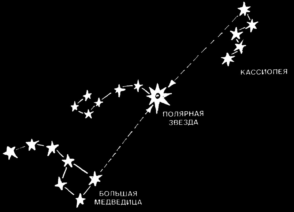 Расположение полярной звезды